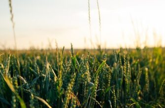 Список фриланс профессии: 20 лучших способов заработать в 2024 году