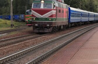 Как заработать на Кворке: Опыт и инструкции для новичков