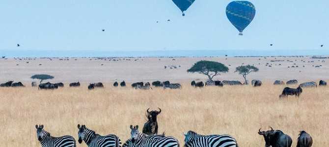 Итоги: рекомендации для трудоустройства в Zebra Call